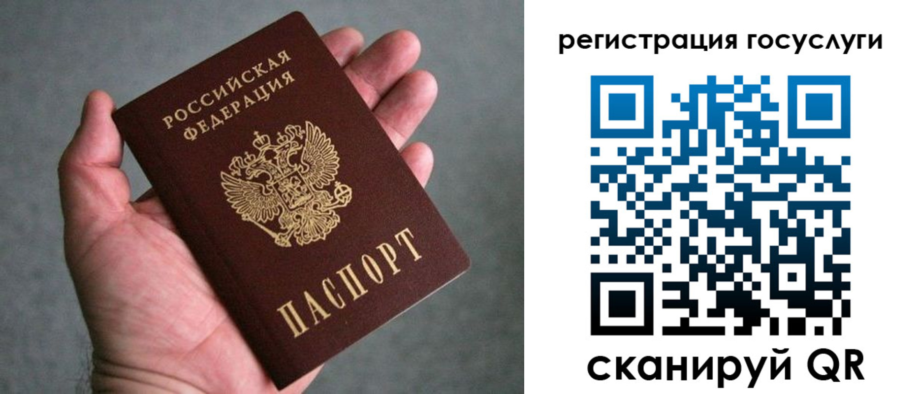 прописка поиск в Сураже